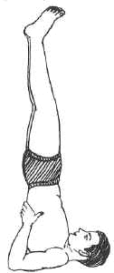 2m2cc5x-2