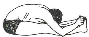 ftzmll-6