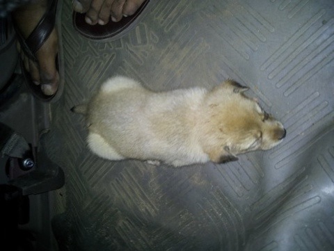 20111014-035723.jpg