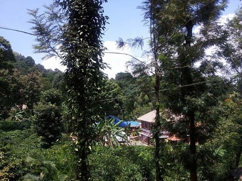 20111014-040623.jpg