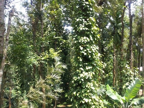 20111014-040631.jpg