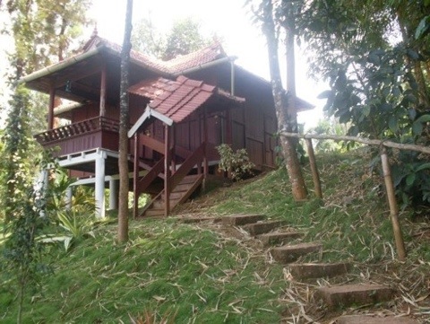 20111014-041533.jpg